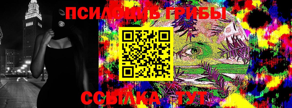 Галлюциногенные грибы прущие грибы  Вход с VPN  Кириши 