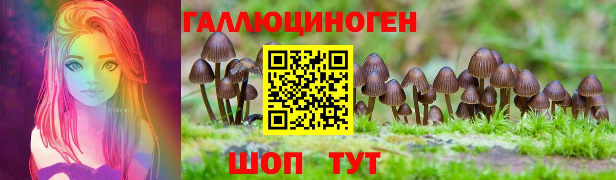 А ПВП Кириши